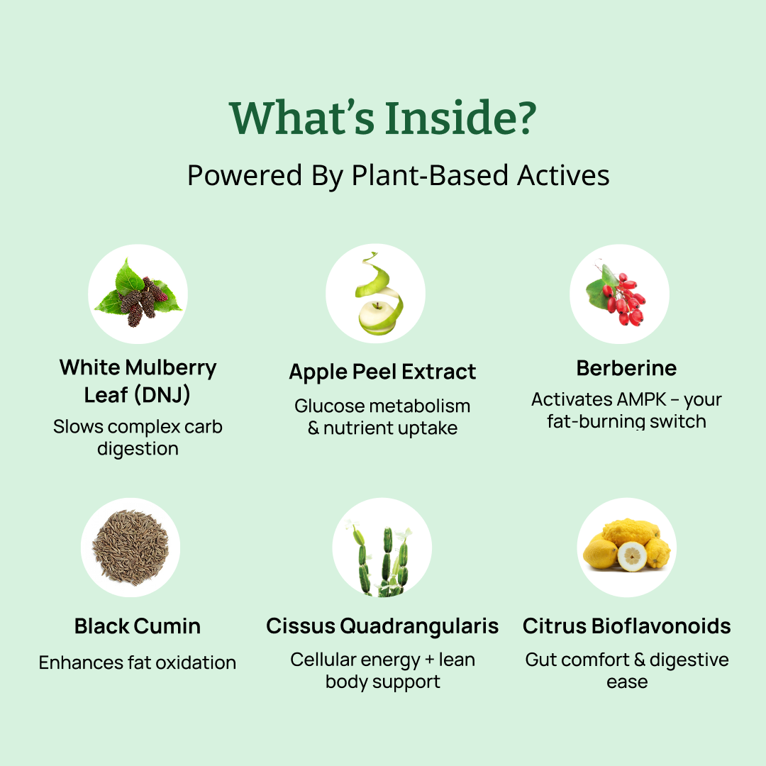 How_Moderate_Helps?
