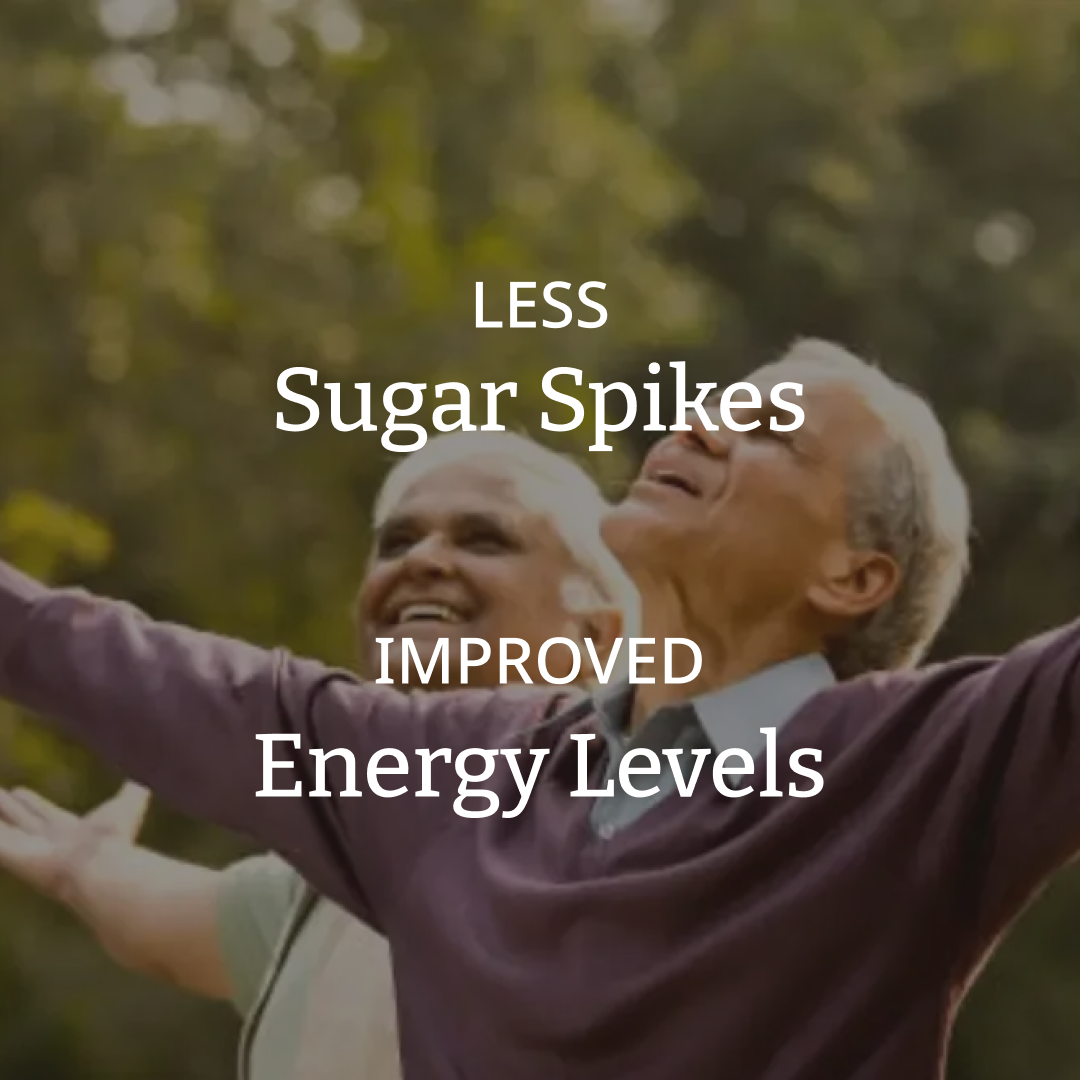 Sugar Slayer | Control Post Meal Spikes